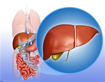 保护肝脏应该做的三件事