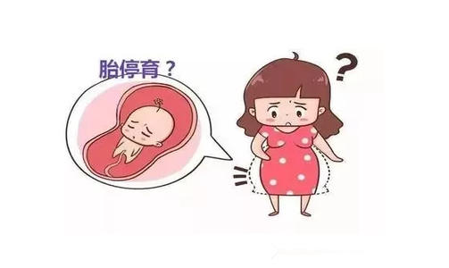 胚胎停育、空孕囊，究竟是怎么一回事？
